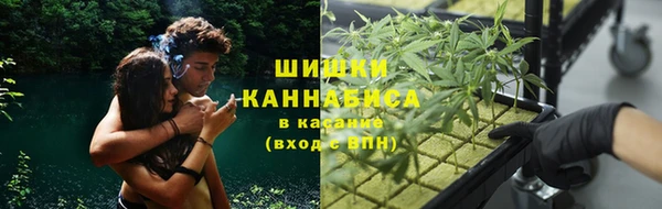 гашик Лагань