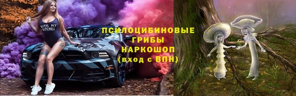 гашик Лагань