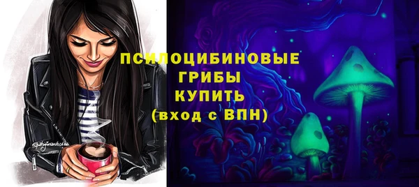 гашик Лагань